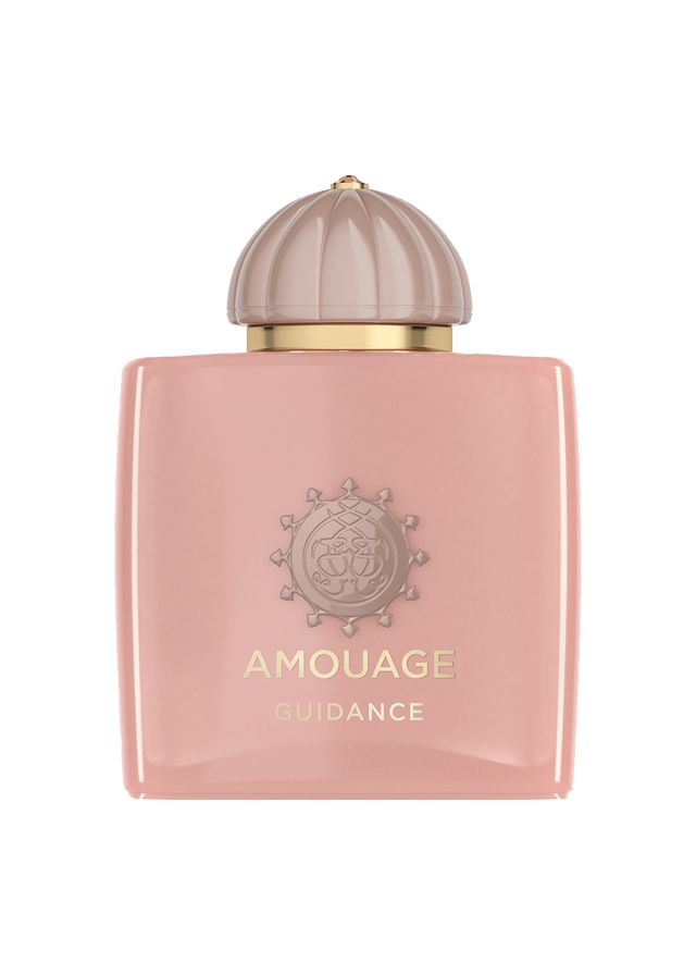 Miniature 1 de GUIDANCE 100 ML
