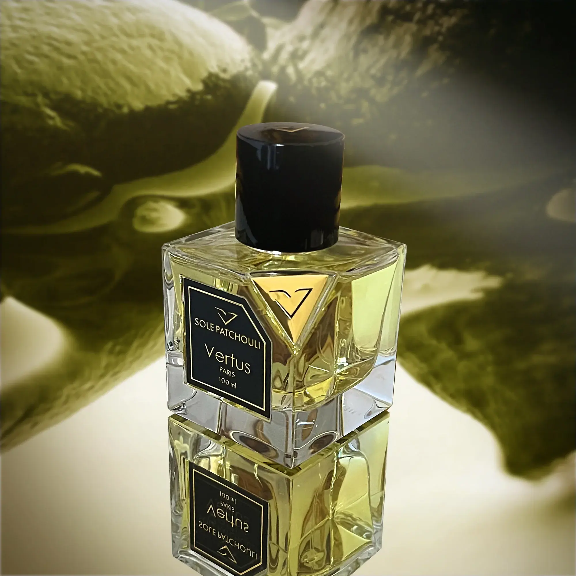 Miniature 2 de SOLE PATCHOULI