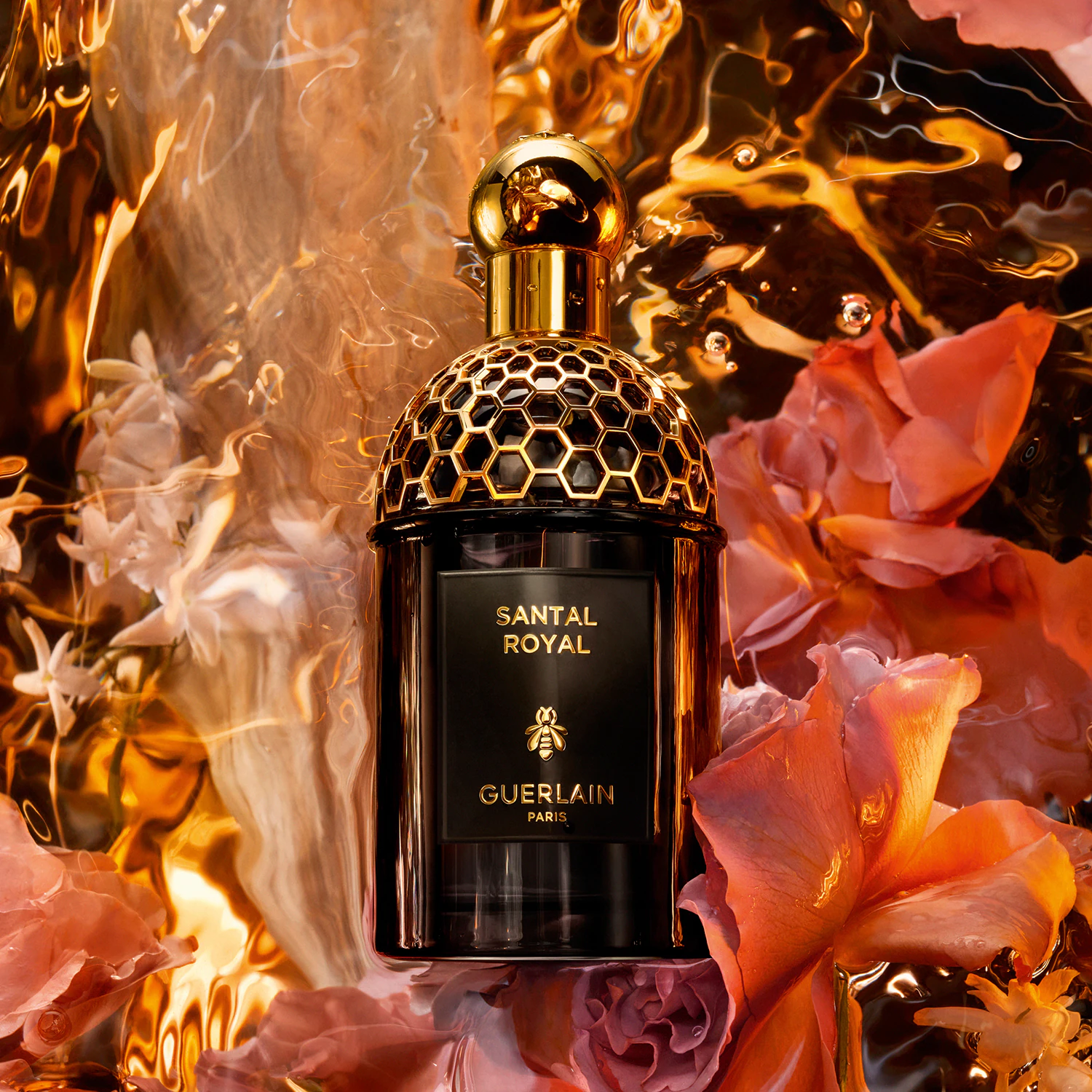 Miniature 2 de SANTAL ROYAL 125 ML