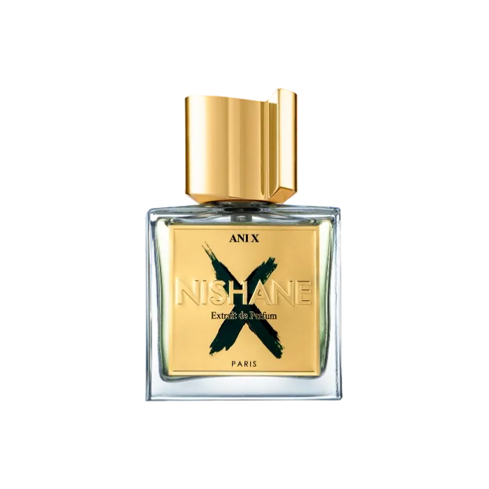 Image de ANI X